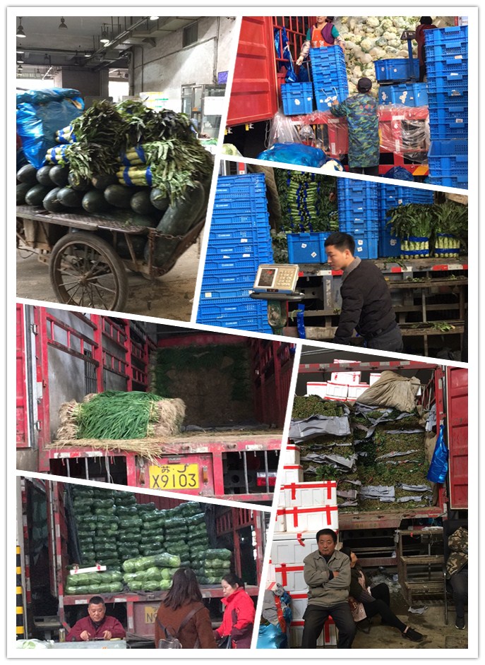 首页-PA集团有限公司官网入口