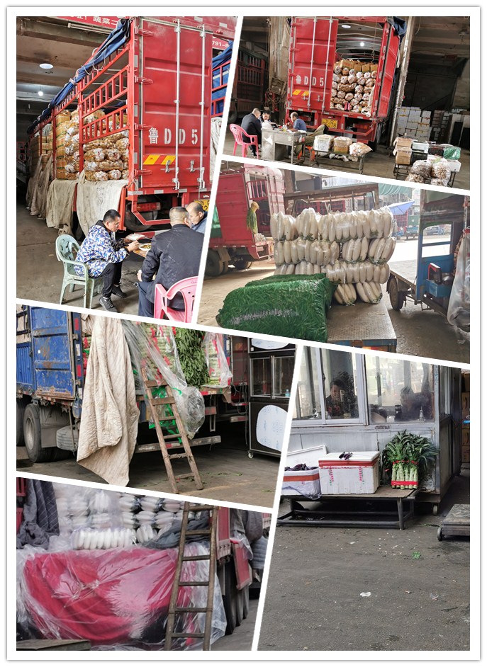 首页-PA集团有限公司官网入口