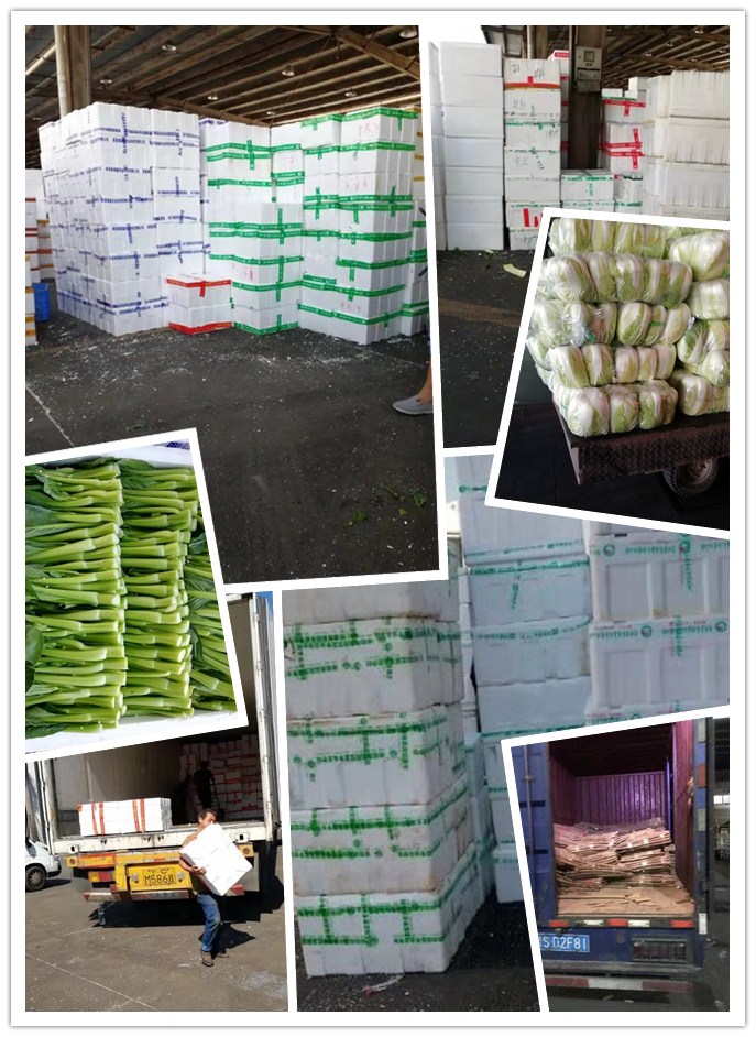 首页-PA集团有限公司官网入口