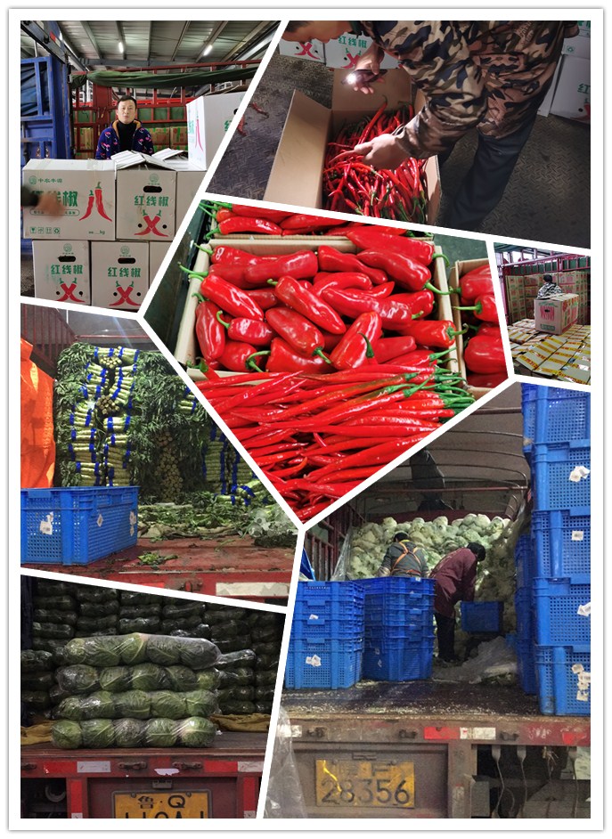 首页-PA集团有限公司官网入口