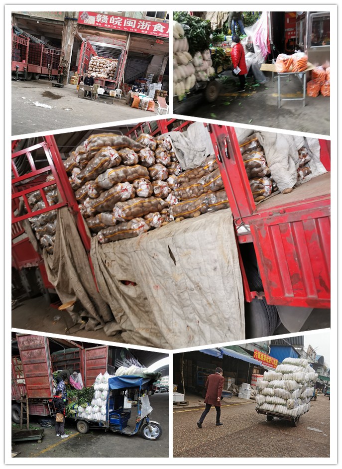 首页-PA集团有限公司官网入口