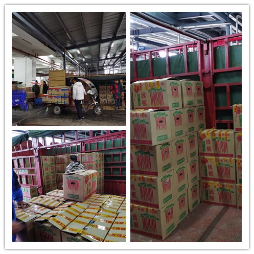 首页-PA集团有限公司官网入口