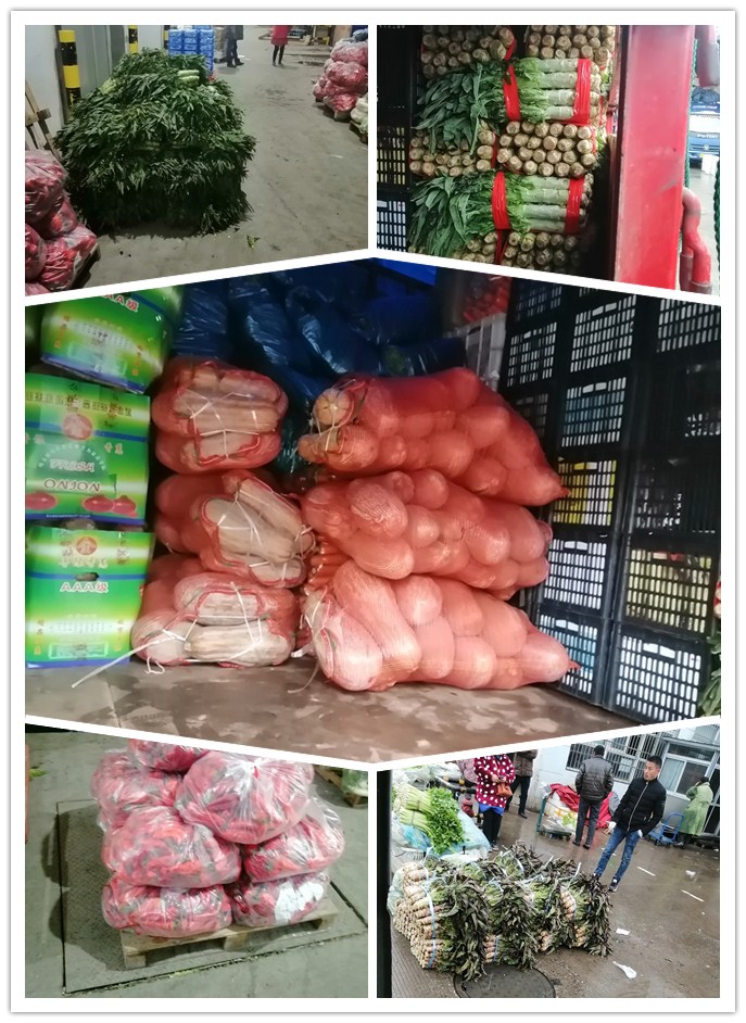 首页-PA集团有限公司官网入口