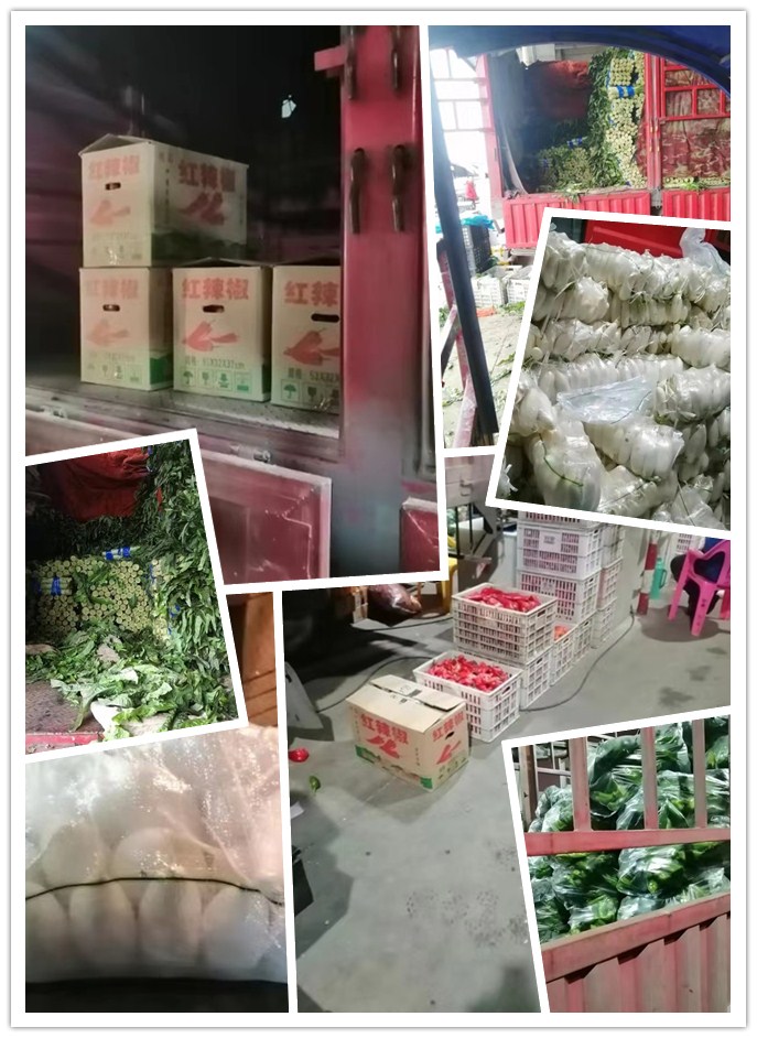 首页-PA集团有限公司官网入口