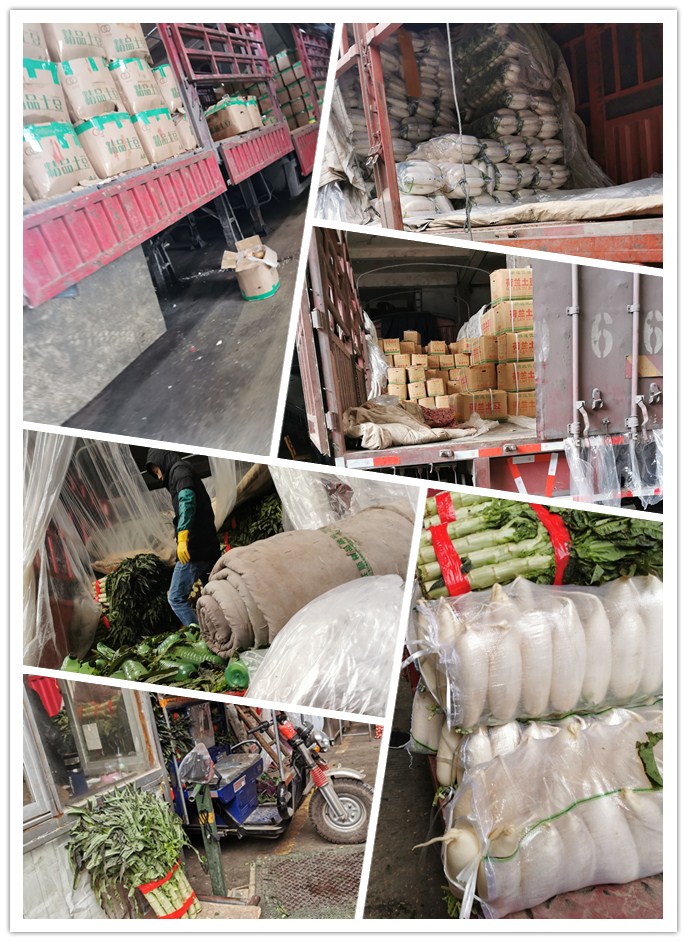 首页-PA集团有限公司官网入口