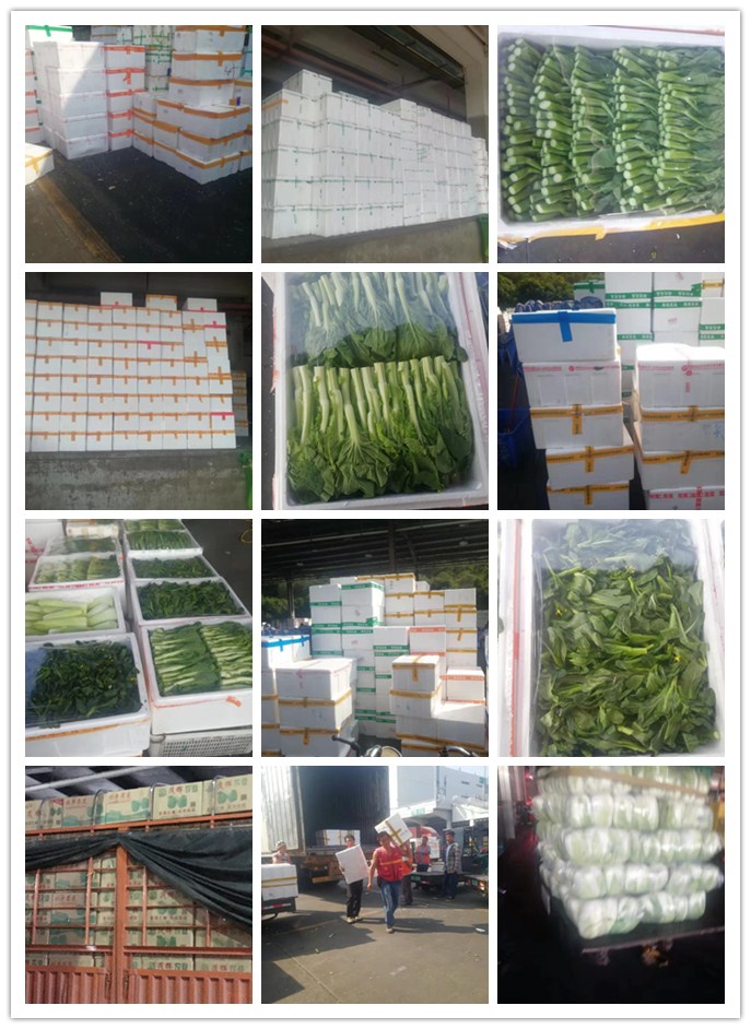 首页-PA集团有限公司官网入口