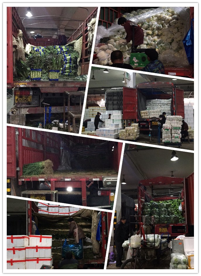 首页-PA集团有限公司官网入口