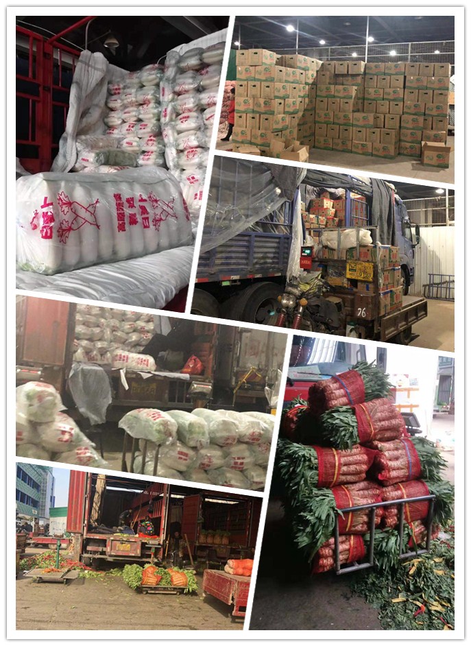 首页-PA集团有限公司官网入口