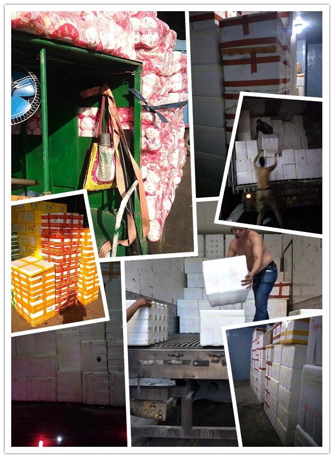 首页-PA集团有限公司官网入口