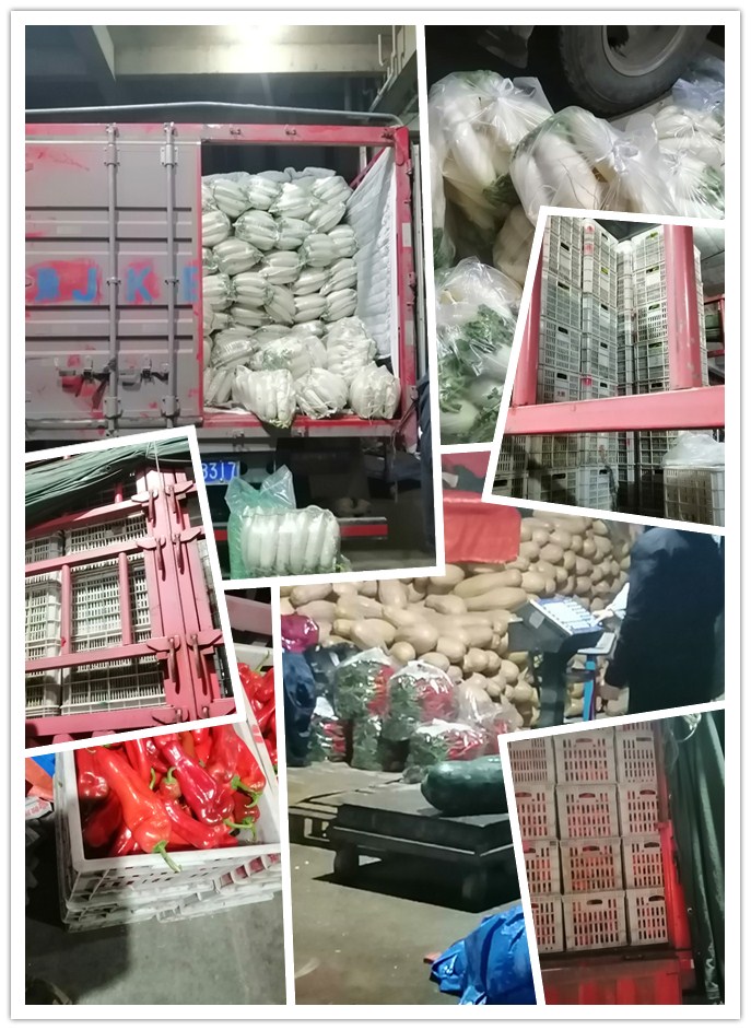 首页-PA集团有限公司官网入口