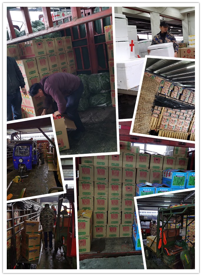 首页-PA集团有限公司官网入口