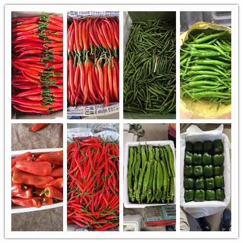 首页-PA集团有限公司官网入口