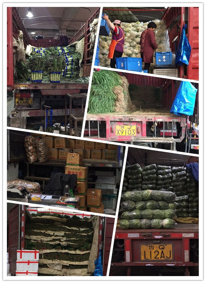 首页-PA集团有限公司官网入口