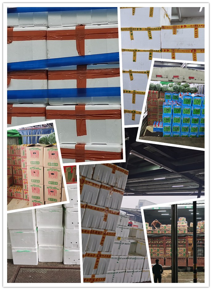 首页-PA集团有限公司官网入口