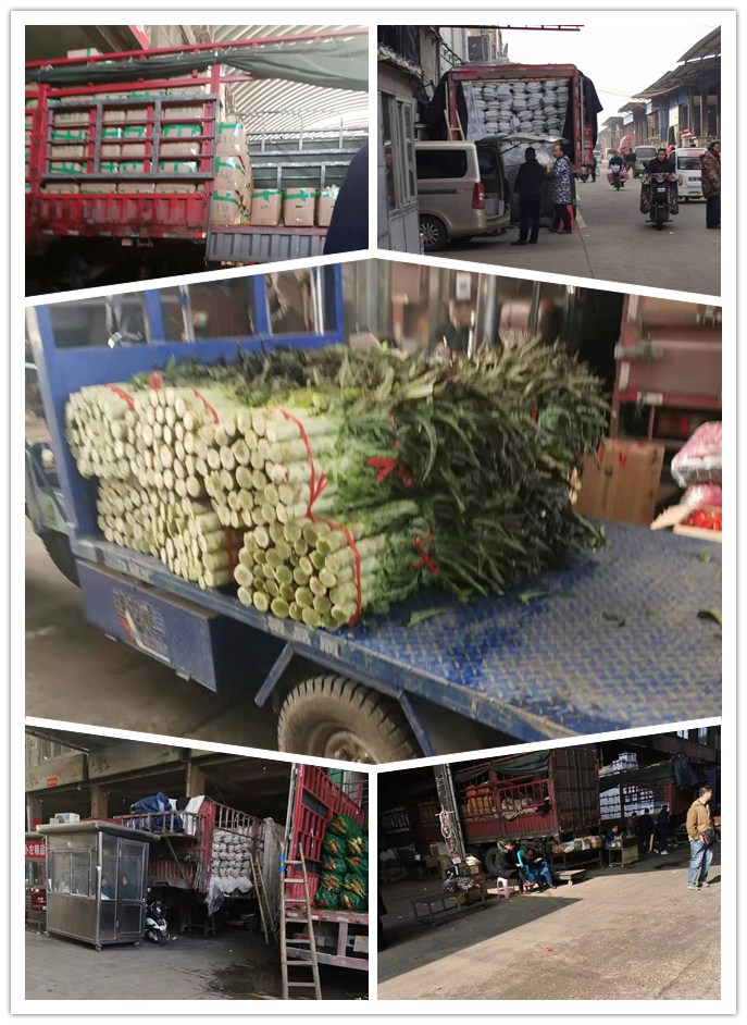 首页-PA集团有限公司官网入口