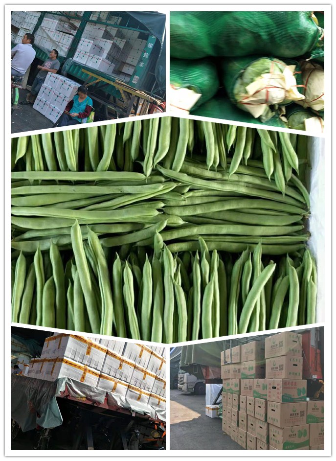 首页-PA集团有限公司官网入口