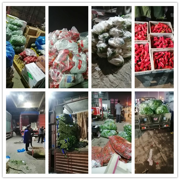 首页-PA集团有限公司官网入口