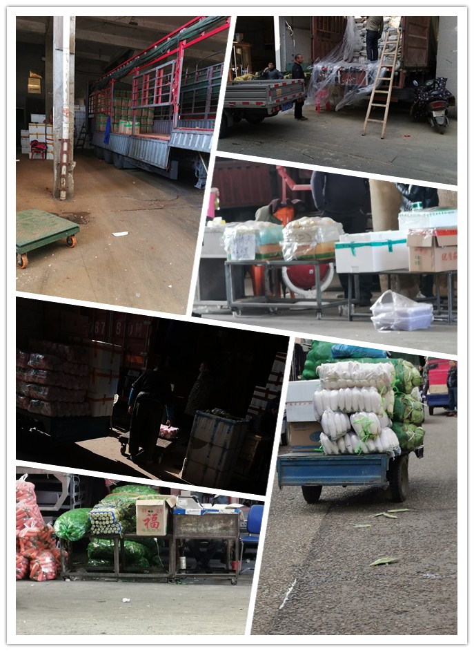 首页-PA集团有限公司官网入口