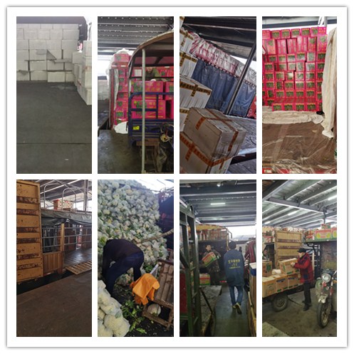 首页-PA集团有限公司官网入口