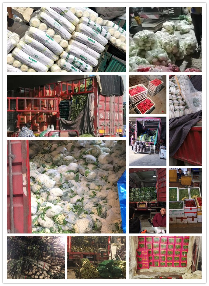 首页-PA集团有限公司官网入口