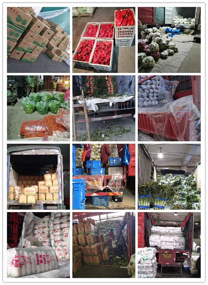 首页-PA集团有限公司官网入口