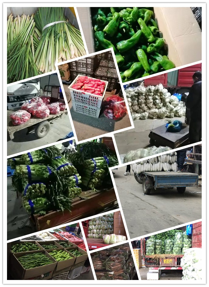 首页-PA集团有限公司官网入口