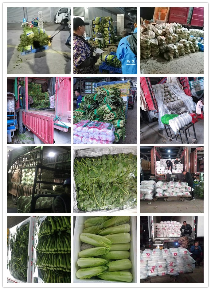 首页-PA集团有限公司官网入口