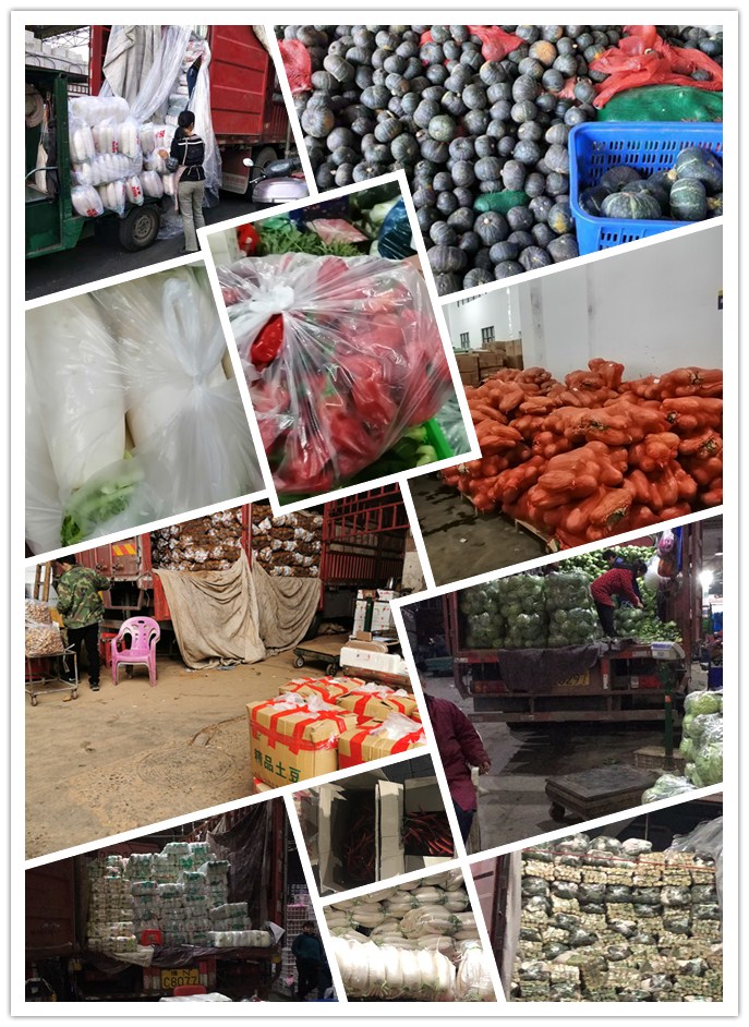 首页-PA集团有限公司官网入口