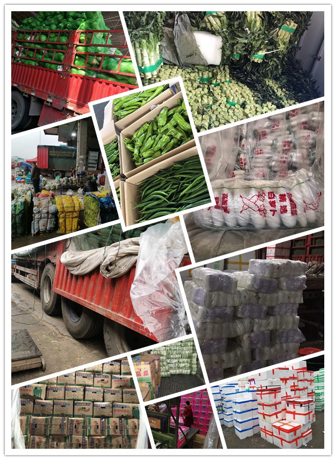 首页-PA集团有限公司官网入口