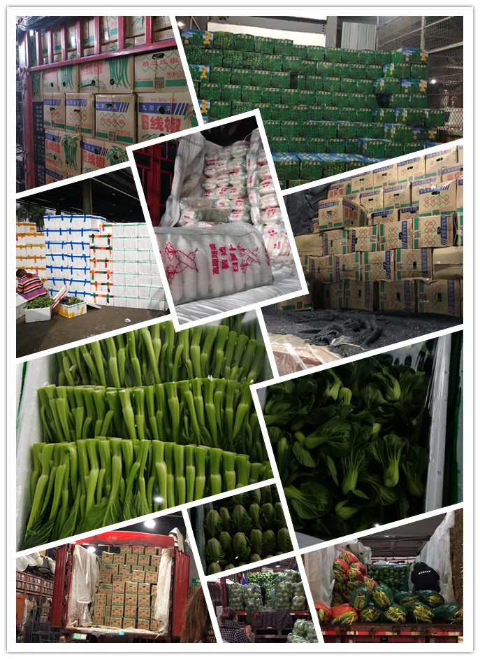 首页-PA集团有限公司官网入口