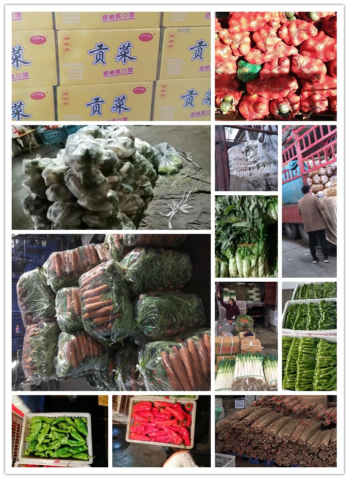 首页-PA集团有限公司官网入口