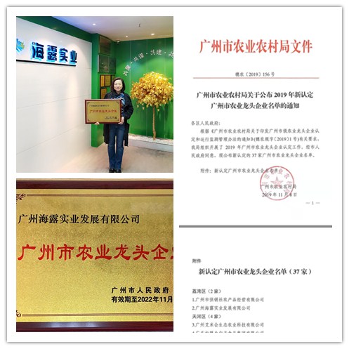 首页-PA集团有限公司官网入口