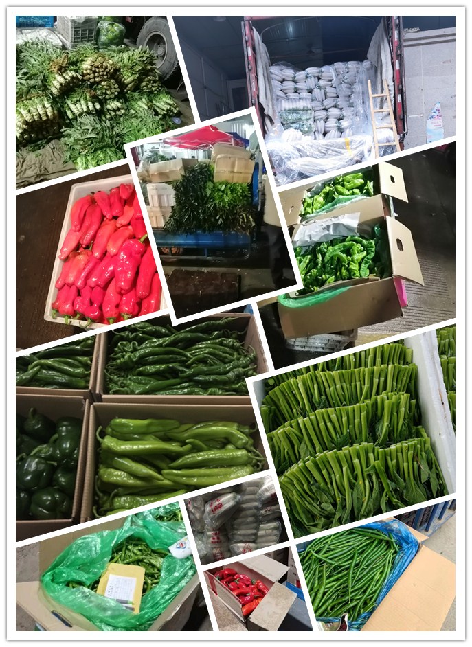 首页-PA集团有限公司官网入口