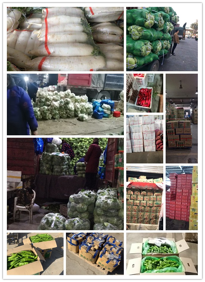 首页-PA集团有限公司官网入口