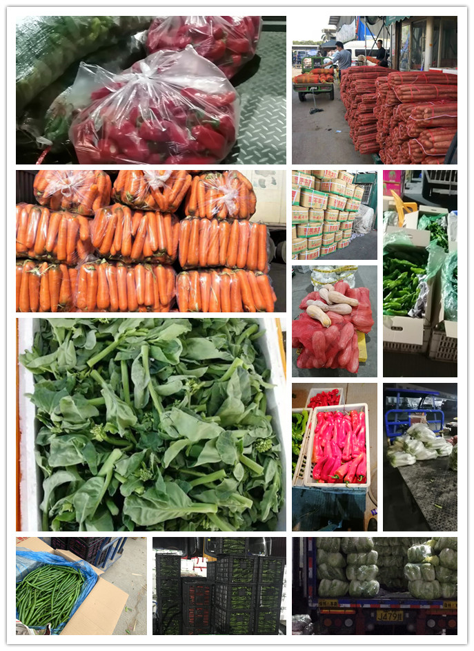 首页-PA集团有限公司官网入口