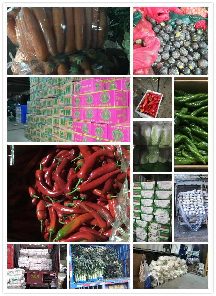 首页-PA集团有限公司官网入口