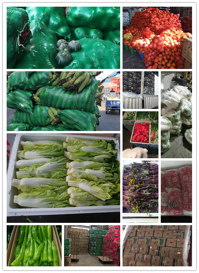 首页-PA集团有限公司官网入口