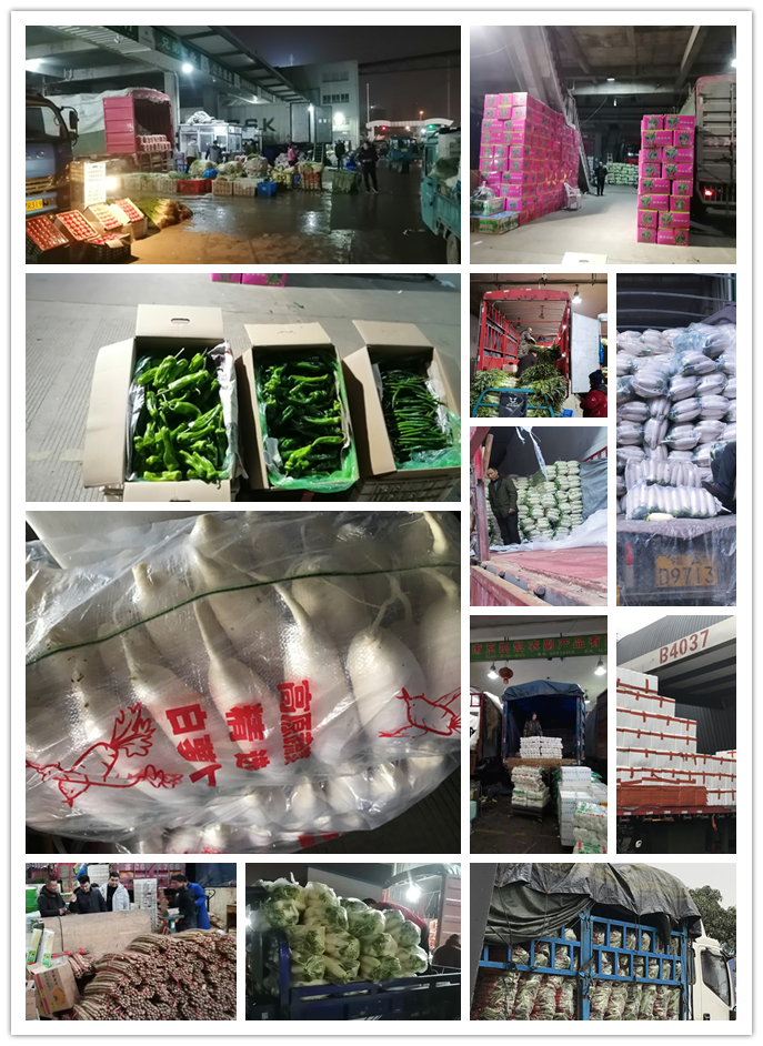 首页-PA集团有限公司官网入口