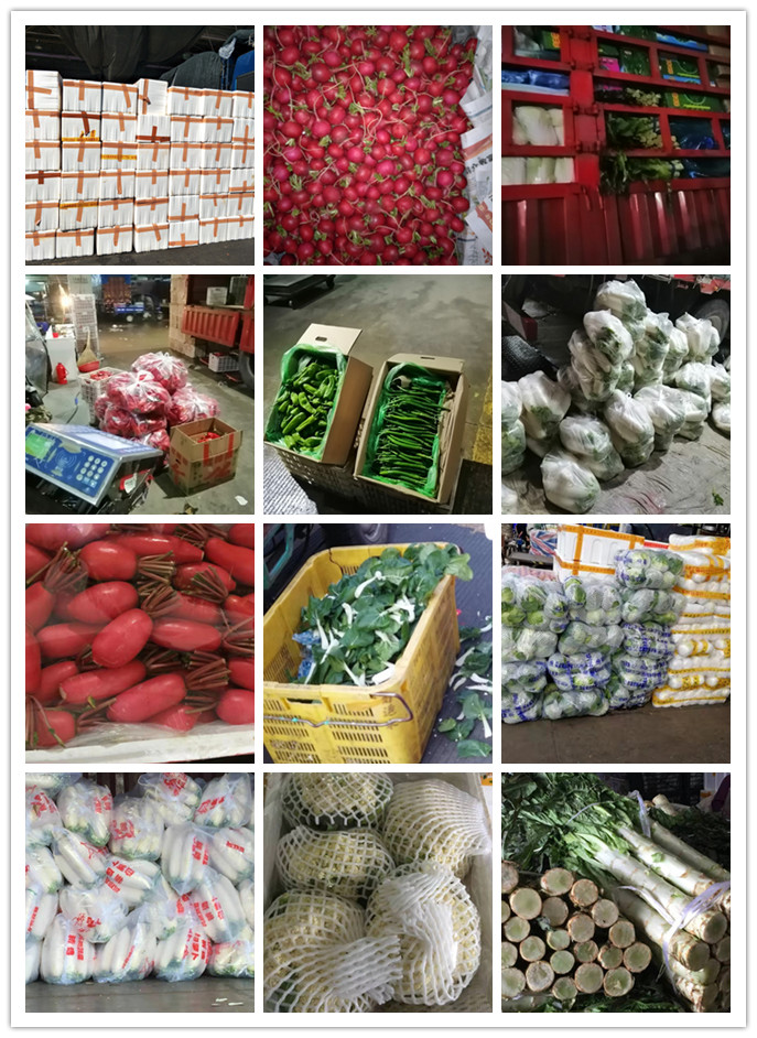 首页-PA集团有限公司官网入口