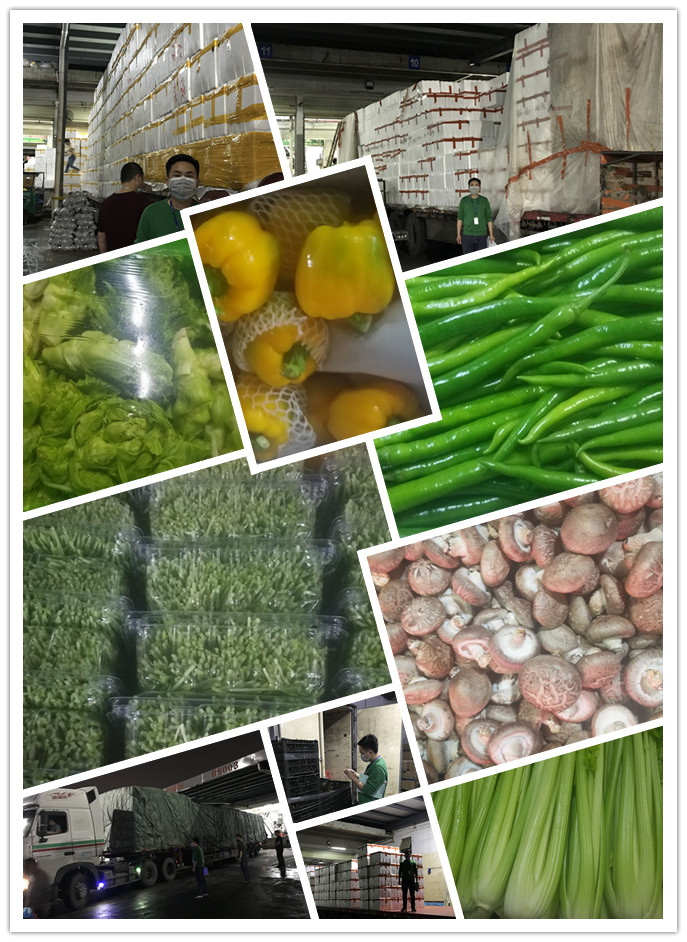 首页-PA集团有限公司官网入口