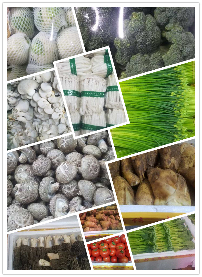 首页-PA集团有限公司官网入口