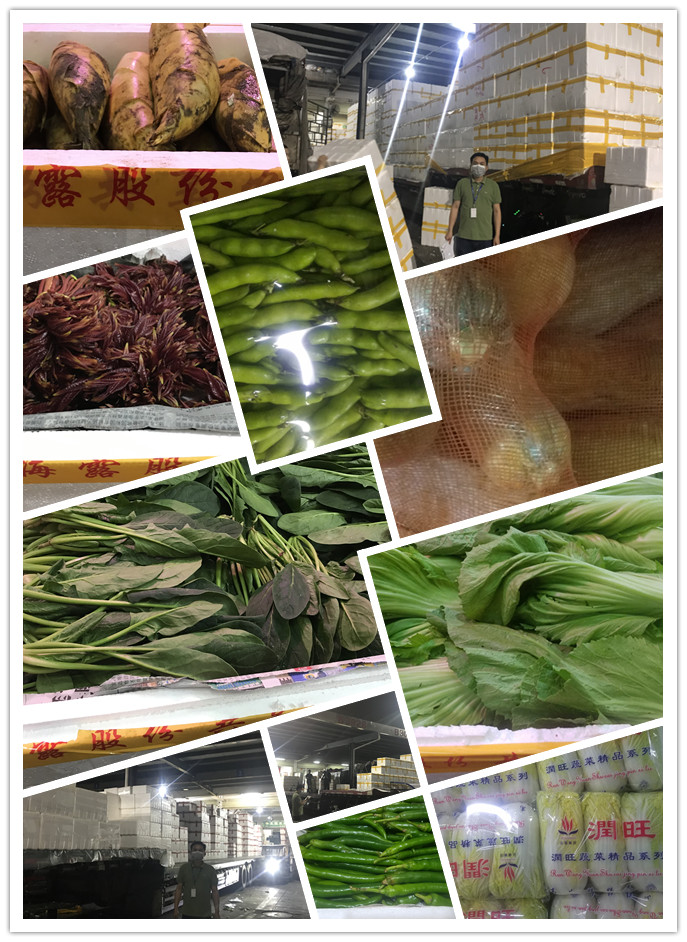 首页-PA集团有限公司官网入口