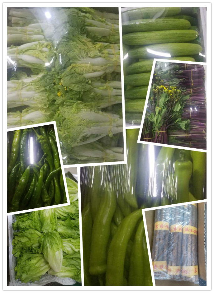 首页-PA集团有限公司官网入口