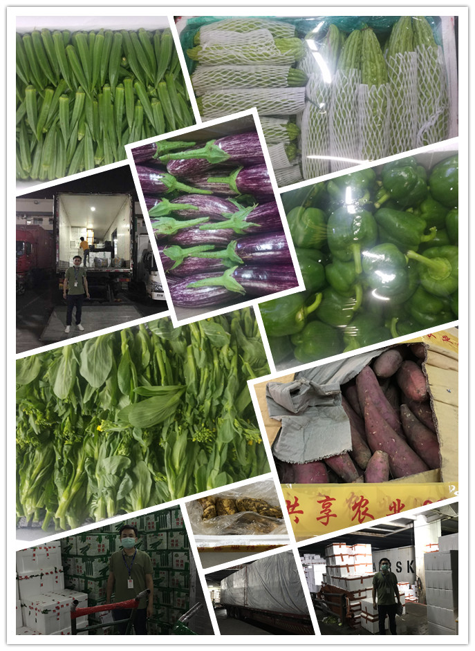 首页-PA集团有限公司官网入口