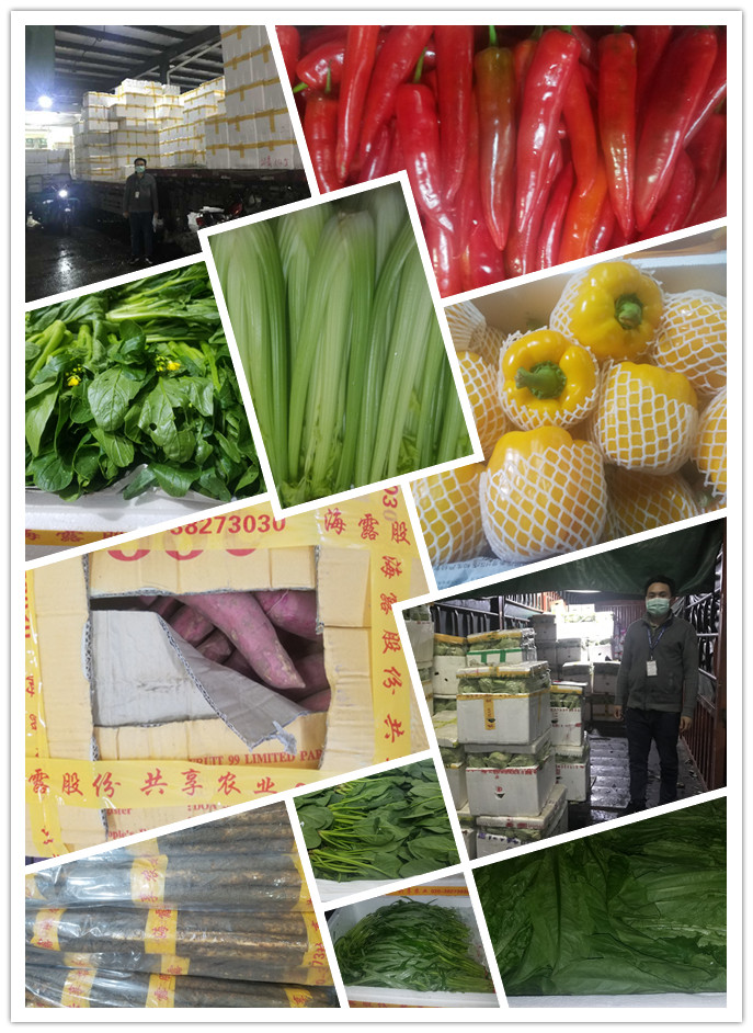 首页-PA集团有限公司官网入口