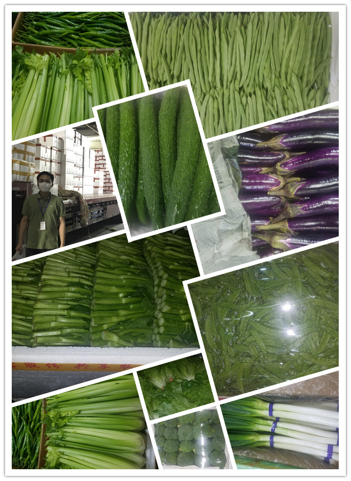 首页-PA集团有限公司官网入口