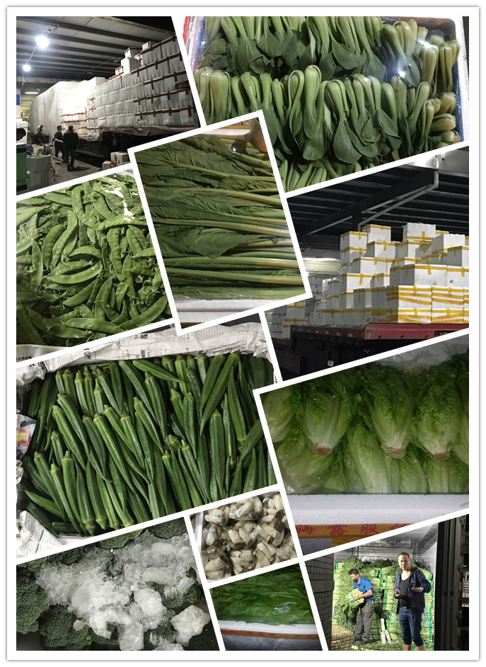 首页-PA集团有限公司官网入口