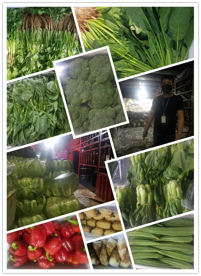 首页-PA集团有限公司官网入口