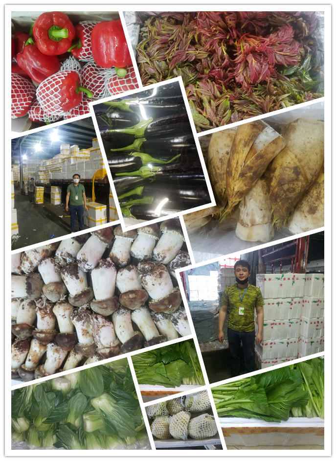 首页-PA集团有限公司官网入口