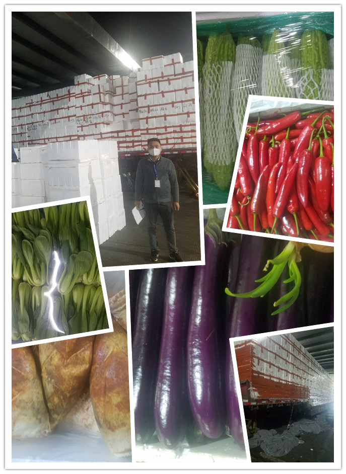 首页-PA集团有限公司官网入口